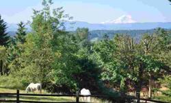 Horse Property with Spectacular Mt. Rainier Views ! Newly sided 36X36 barn with 7 ton hay storage. Fenced pasture in front of house for pastorial view. Updated Country home with "Stickley" cherry cabinets in kit., a great room with 7"wide solid pine plank