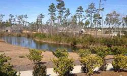 Wonderful brick home in established community with lots of great features. Used as model so still like new! Close to Palmetto Creek amenity center with lovely views of Palmetto Creek's small lake.Listing originally posted at http
