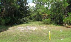 SIX ADJACENT COMMERCIALLY ZONED B2 LOTS IN SUN N LAKE OF SEBRING. JUST DOWN THE ROAD FROM FLORIDA HOSPITAL.LOCATED ON THE CIRCLE AND ACROSS THE STREET FROM THE SUN N LAKES CLUBHOUSE AND SUN N LAKE TOWN HALL. IDEAL FOR A MEDICAL COMPLEX OR OFFICE COMPLEX.