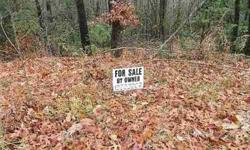 336 ft of road frontage. This would make a perfect spot to build your dream home. Land is partially cleared. Electric was available at last property visit. Special financing available. ANY credit ANY income will be considered!!