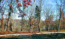 $34,000. Get the best of the lake without paying high lakefront prices. Own a roomy lot, many with great lakeviews, just across the road from Watts Bar Lake. Piney Point resort with its boat ramp is just down the street. These lots are going fast