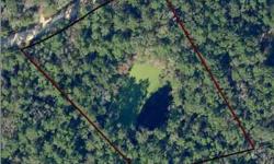 Very scenic (Like a scene out of Jurassic Park!) and unique 4.11 Acres in the North end of Suwannee County. This property features a deep natural pond that would be beautiful to look out at from the back porch of your home. Land is wooded and uncleared,