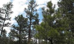 A gorgeous place to build your mountain retreat in the Ponderosa Pines. Very special .83 Acre corner lot that you just have to see. Blue Ridge Estates has just the right CC&Rs to protect your property values. Water, phone and power availableListing