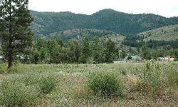 One of the most affordable building parcels in the Methow Valley! Private Twisp in-town location with nice views of Mt. McClure. Water, power and sewer on parcel or very close. From Highway 20, take Burton St, left on Riverside Ave - and drive to the end