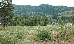One of the most affordable building parcels in the Methow Valley! Private Twisp in-town location with nice views of Mt. McClure. Water, power and sewer on parcel or very close.From Highway 20, take Burton St, left on Riverside Ave - and drive to the end