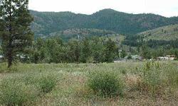 One of the most affordable building parcels in the Methow Valley! Private Twisp in-town location with nice views of Mt. McClure. Water, power and sewer on parcel or very close.From Highway 20, take Burton St, left on Riverside Ave - and drive to the end