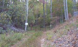 Looking for a piece of heaven to build that cabin or dream house on, this one may just be it. Creek meanders the entire front of property, mature woods, rhodedendrun and mountain laurel decorate it. Wildlife abounds for entertainment. This parcel is