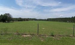 Five acres high and dry. Barn that needs a little fixing up. Build your dream home on this beautiful country lot in Clermont.Listing originally posted at http