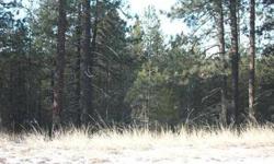 The nicely treed almost five acre parcel would make a great homesite and offers seclusion yet just outside of town. Only 15 minutes north of Deer Park and all its amenities. Fishing, hunting and skiing close by. Perc test has been done, permit maybe