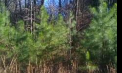 Motivated Owners must sell fast!! Nice 2.5 acre homesite located in Jocassee Ridge. This homesite backs up to the man made lake within the subdivision. This gated community is located 2 miles from Lake Keowee & Lake Jocassee. The subdivision has beautiful