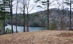 A view of Lake Appalachia and surrounding mountains from this large vacant lake access lot! Fresh air mountains, and water! So if fishing is what you like...? Its here! Boating...? Its here! What more could you ask for...? Private, gated, & underground