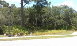 Build your dream home in this quiet community. Cinnamon Grove Village is a gated subdivision located in the Hammock, with only 12 single family home lots. Bank of America Prequalification required on all offers. Please allow 2-3 business days for seller