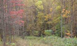 Mostly wooded 1.21 Acre Lot 10 minutes to I-79.
Listing originally posted at http