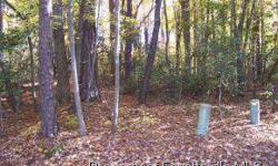-Nice,Wooded,easy buildable lot in South Landing. Located in quiet cul-de-sac near lake with nice homes nearby. Use your builder or ours when you are ready. Front of Lot is marked for easy identification. South Landing has marina, pool and tennis.
Listing