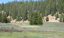 0.58 acre Swains Creek Lot borders the pristine Swains Creek mountain stream. View of Dixie National Forest and surrounding Ponderosa Pines. Lot has electric meter and water hydrant, ready for you R V. Year around access. Owner AgentListing originally