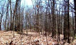 Two wonderful mountain lots combined to buffer or use individually. Hardwood forest, gentle laying to steeper grade. Year round views can be obtained with selective cutting. 2.06+/-ACListing originally posted at http