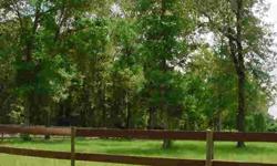 5 FENCED ACRES, GREAT TREES, GREAT GRASS & GREAT LOCATION. BRING YOUR HORSES. For more information please contact BETHANEY SWANSON at bethaney@hdownsrealestate.com or mobile at 352/339-1065. BY APPOINTMENT ONLY....WACLS #48748.
Listing originally posted