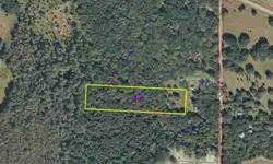 "AS IS, WHERE IS" Flag Lot. Possible small country homesite, small creek in back.Park Like setting for your Hammock to relax under the oaks trees set to your backdrop of your newly built home.