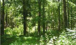 Beautifully wooded tract with stream toward the back.
Listing originally posted at http