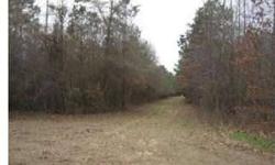 Gladden Tract of Bossier Parish, LA is 71 acres of pine plantation with varying age groups. The 20 ac. southeast portion of the pine plantation was planted in 2001; chemical release in 2002. The 10 acres west portion of the tract along the Plain Dealing