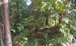 Mostly level lot with lake view at rear, 1/2 acre wooded. Located in premier north Tellico Village. Ownership entitles you to wellness center, yacht club, boat docks, 3 golf courses.Listing originally posted at http