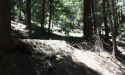 Gorgeous Alta Sierra Lot. Ready to build. Owner has building plans. Percolation test has been done. Lots has been surveyed with markers. Electric and water at lot. Lots of pine trees. A must see.Listing originally posted at http