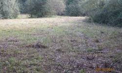 Good building site, half wooded half cleared. 50 feet of road frontage on Hwy 51.
Listing originally posted at http