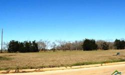 Build here!!! Great half acre lot, close to flint but in bullard isd waiting for your custom house. Listing originally posted at http