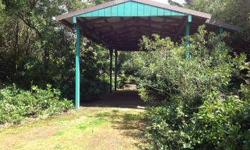 Coast Village lot with Ramada for RV, Park Model or trailer. Power, firepit and shed. Natural vegetation privacy between other lots. Manufactured homes allowed at the park. Two pools, community room and laundry available! .15 Acre Lot Rhododendron