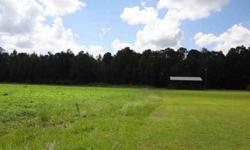GRACEVILLE VACANT LAND REAL ESTATE FOR SALE IN JACKSON COUNTY. FOR MORE INFO CALL 850.209.8039 OR EMAIL DEBBIE DIRECT debbieroneysmith@embarqmail.com Close drive to Hwy 2 & Hwy 231. Minutes into the town of Graceville. Property half cleared and half