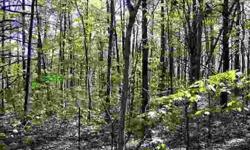 $35,000. Are you longing for the privacy of a wooded, mountain retreat, but you need the convenience of the city within minutes? Do you want to build your home or weekend get-away in the middle of beautiful hardwood trees, have gorgeous views of the