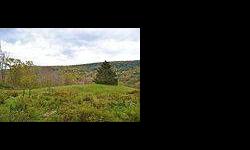 Enjoy the catskill mountains with this 8.9 acre parcel located in halcottsville, less than three hours from the nyc area. Listing originally posted at http