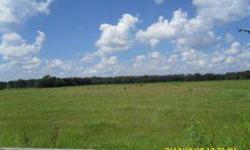 10.53 acre rectangular, interior lot with partial marshland. Check with County regarding potential uses.