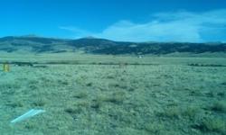 Beautiful views - perfect for building your dream home and you can bring the horses. 4 other lots available. Park County. Call for details.