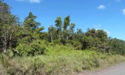 Nice Ohia forested 3 acre parcel in Hawaiian Acres. This is a Corner parcel located on the the makai of Road 5, and runs along the highway side of C Road.
