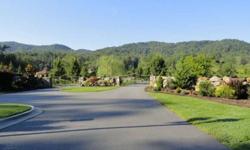 -Beautiful mountain view lot in one of Fairview's nicest gated communities. This beautiful wooded lot sold for $235,000 in 2008. Private, paved road access. Quiet, out-in-the country feeling yet only 15 minutes to downtown Asheville and 10 minutes to the