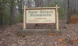 Just Reduced!! This is a great building lot with 4.34 acres on New Forest Mountain. Come check out the Beautiful Vibrant Fall colors! All utilities have been installed underground, and lot has been cleared. Enjoy comfortable mountain living. The resort