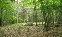 Beautiful building lot in Otisfield in a quiet quiet area. Private road. Level and lightly wooded. Build your dream home!Listing originally posted at http