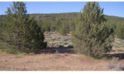 Property ready to build on. Has septic system and well. Bladed driveway with gravel. All this lot needs is you! Located on Pencil Road - only 5 miles to town.Listing originally posted at http