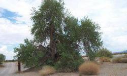 Over 1 1/5 acres on the North Side of Quartzsite near medical services and fire department. Easy access off of Hwy 95. Many full grown trees.Listing originally posted at http