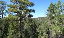 Timberlake Ranch- This parcel has a moderate slope facing west and a relatively flat top with great views of the red cliffs and lake. Nice spot for camping or building. Close to Ramah Lake for water sports and national forest for hiking/biking.Listing