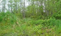 2 private, .25 acre, level building lots near shopping, schools, and highways. Quick access to Hwy 512, I-5 and Pacific Highway. Access easement from "B" Street. Sewer in easement, rest of utilities are in "B" street.Listing originally posted at http