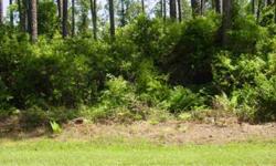 Wonderful building lot in Bear Point Estates! Build your dream home close to the bautiful Gulf Shores beaches, shopping, restaurants and all the great ammenities that Orange Beach has to offer. Great Price!Listing originally posted at http
