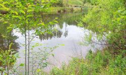This is a great homesite, nice setting, fronts on a lake, close to Richmond and Farmville.Listing originally posted at http