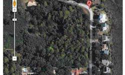 Gorgeous 4.4 acres of lush trees and foilage tucked away in a quiet, peaceful neighborhood. Just across the street is a canal and beautiful homes. Build your dream home on this lovely piece of land. Easy access off of Hillsborough Avenue, Convenient to Ta