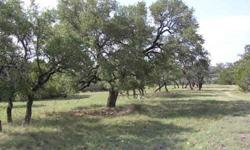 Beautiful mountain top views; private park like setting with many oaks; cleared of cedar; ag exempt under game management; lots of game including white tail, axis, sika, and turkey. Owner is a LREB. Deeded access through gated community of Live Springs