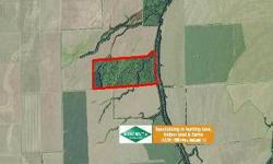 Tract is set up for one thing?deer hunting. It is located in a strong area for big whitetails. There is excellent surrounding habitat for backup. A 180?, 168? and 159? were taken off the property in the last couple of years. The tract is made up of