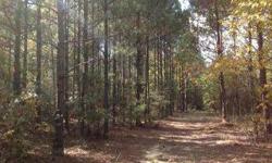 This 218 acre timber investment is priced to move! The tract is located on Mennonite Church Road in Stapleton, GA nearby the high school. The land features a landscape of 19 year old pines with some hardwoods mixed in, level topography and paved road
