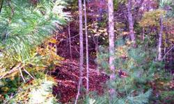 1.68 acres of cool wooded land.close to Vogel State Park. Private. Build your cabin in the woods and escape the heat of the city. Community water, electric available. Donna 706-897-4305
Listing originally posted at http
