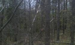 Beautiful wooded build site in gorgeous sub. Walkout site on a paved road,with nice location for commuters.
Listing originally posted at http